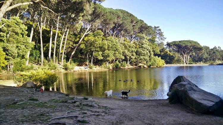 Lagoa Azul