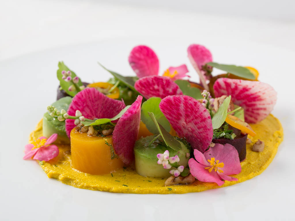 12 Best Vegan Restaurants in Miami for Tasty Meatless Meals