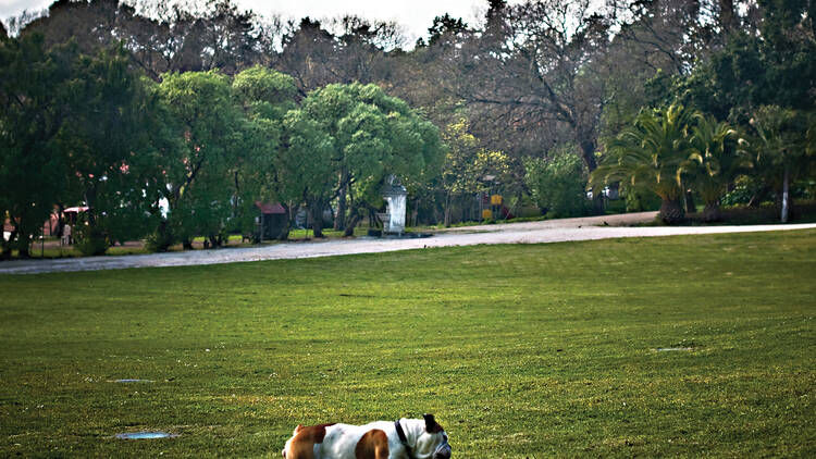 Have a picnic at the Tapada das Necessidades