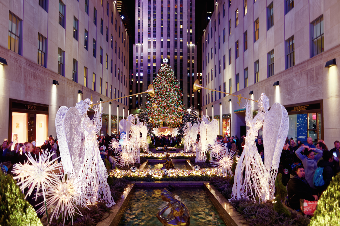 Best Christmas trees in NYC this holiday season
