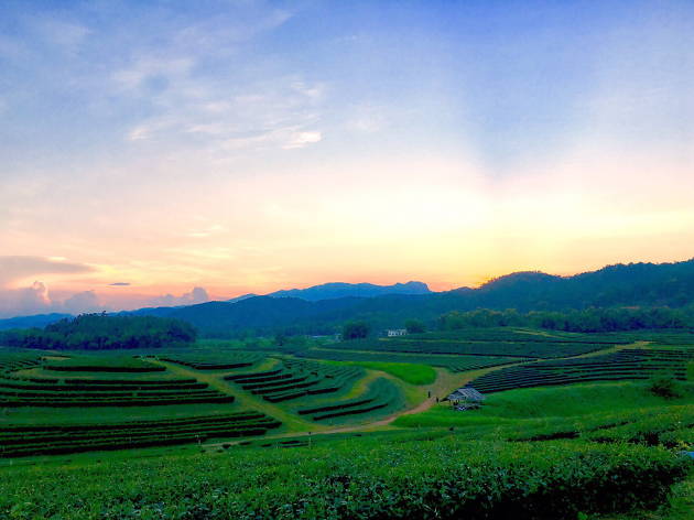 Singha Park Singha Park