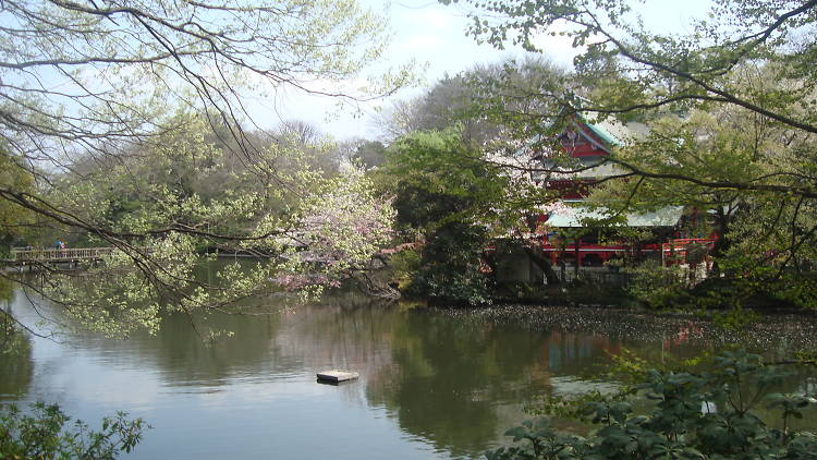 Inokashira Park | Time Out Tokyo