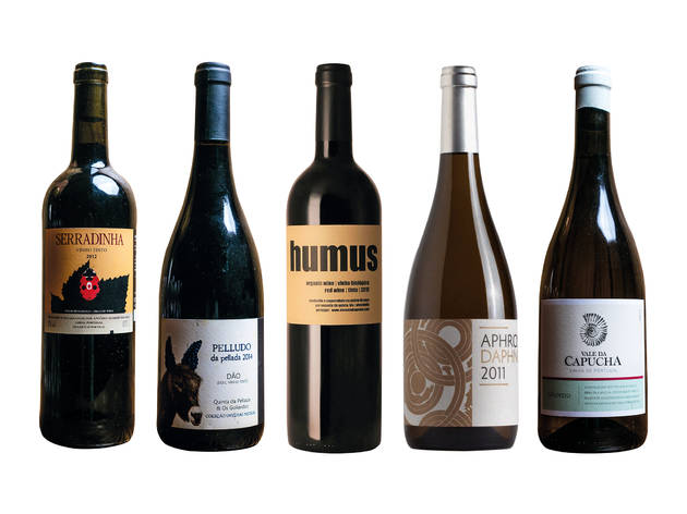 O que são e onde beber vinhos naturais em Lisboa O que são e onde beber vinhos naturais em Lisboa