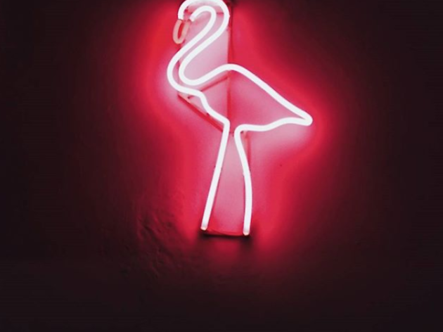 Flamingo Casa Independente Flamingo Casa Independente