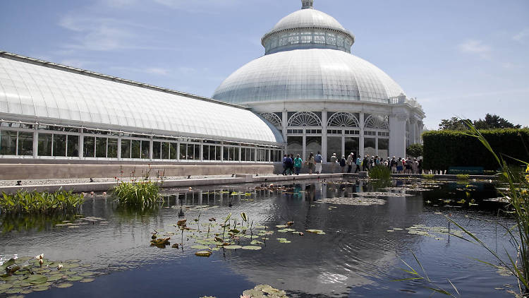 Hide out in the Haupt Conservatory