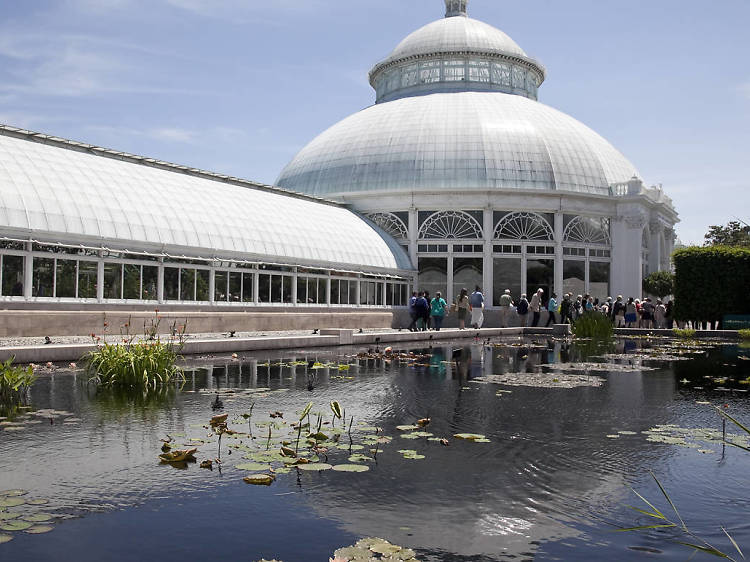 Hide out in the Haupt Conservatory