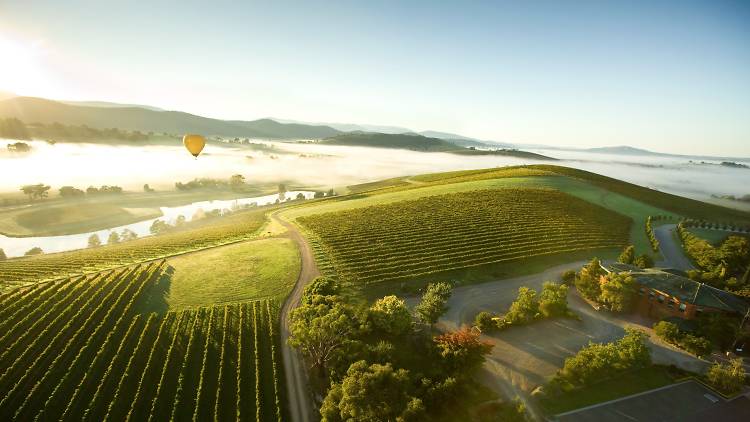 Take a day trip to the Yarra Valley