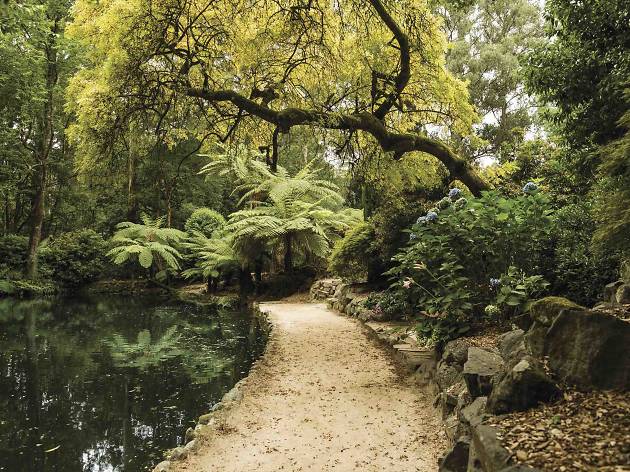 Alfred Nicholas Gardens Yarra Ranges Alfred Nicholas Gardens Yarra Ranges