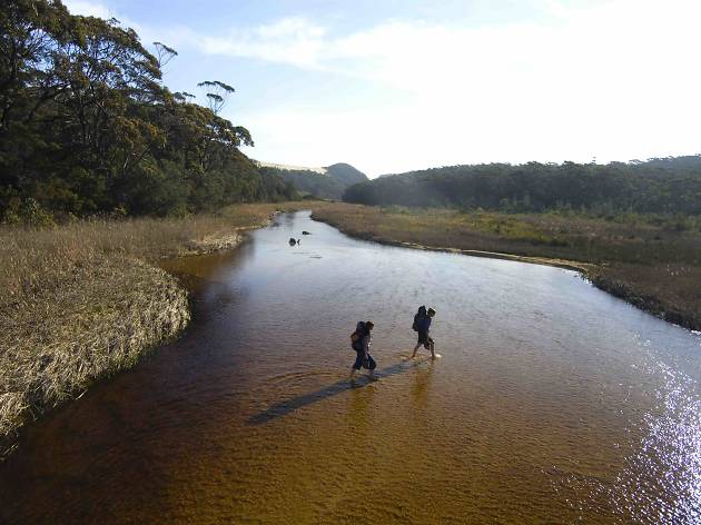 Hikers in Croajingolong National Park at sunset Hikers in Croajingolong National Park at sunset