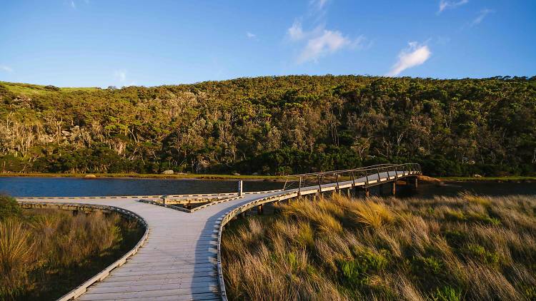 10 incredible national parks within driving distance of Melbourne