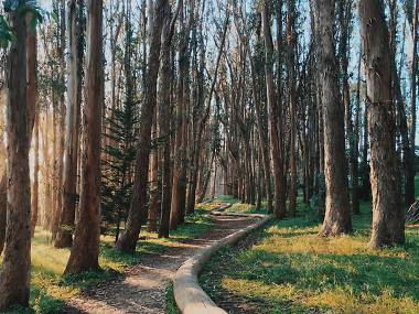 The most Instagrammable places in San Francisco The most Instagrammable places in San Francisco