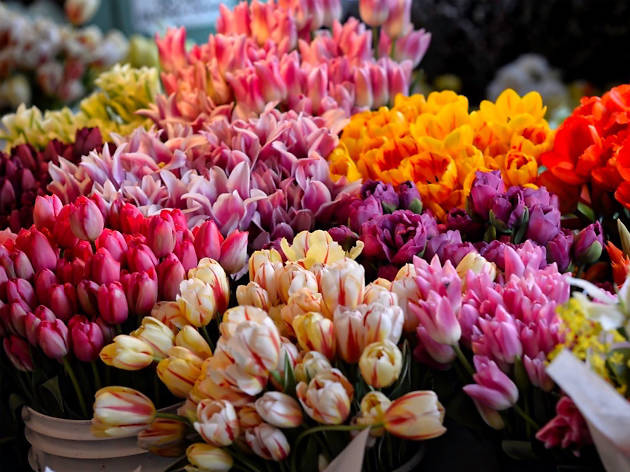 Dónde comprar flores para San Valentín Dónde comprar flores para San Valentín