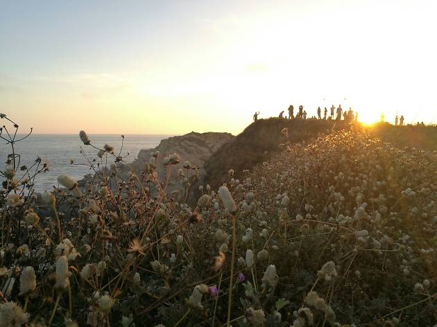 Punta Cometa Punta Cometa