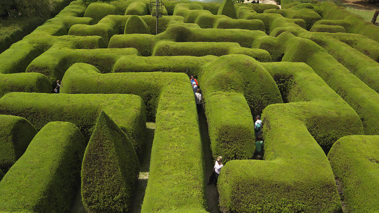 Australia’s biggest hedge maze