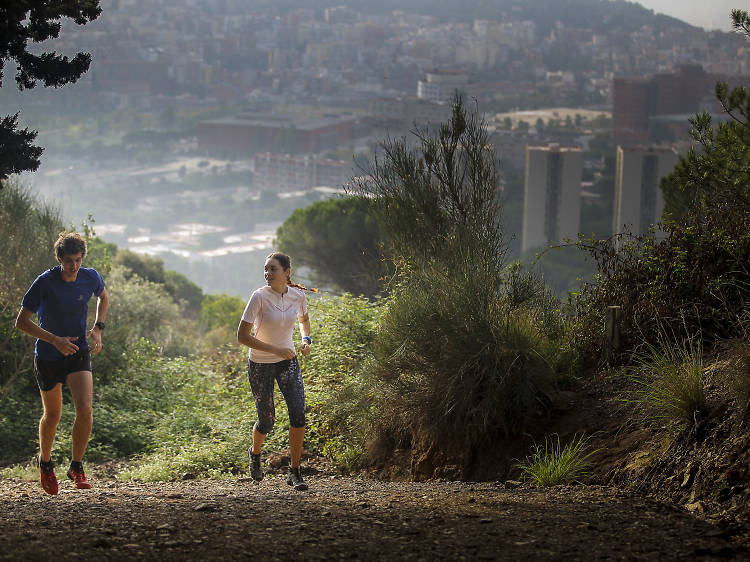 Avui és el dia en què deixaràs d’entrenar?