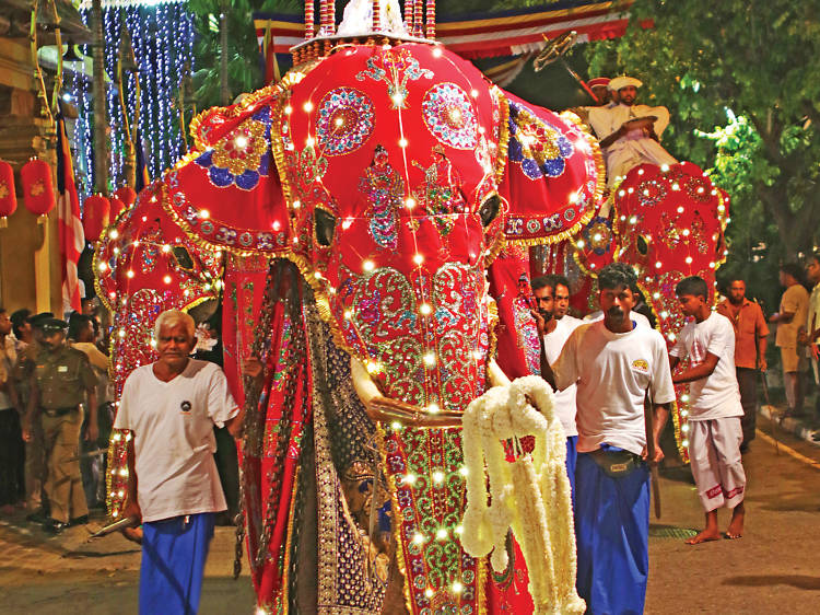 Navam Perahera