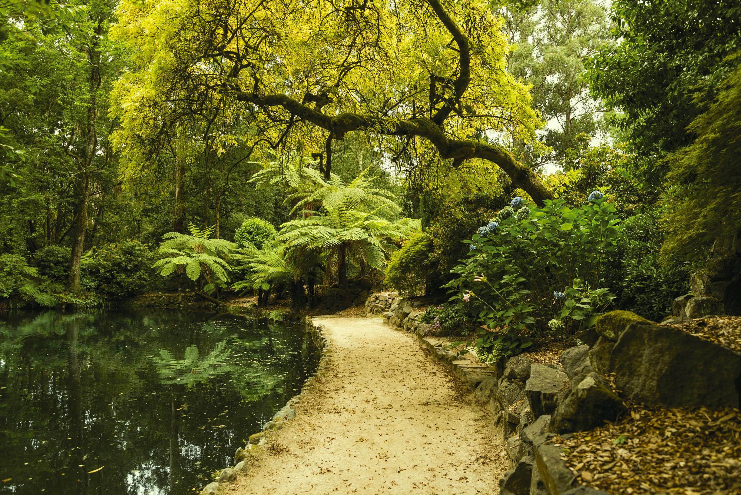 Best Secret Gardens And Parks In Melbourne