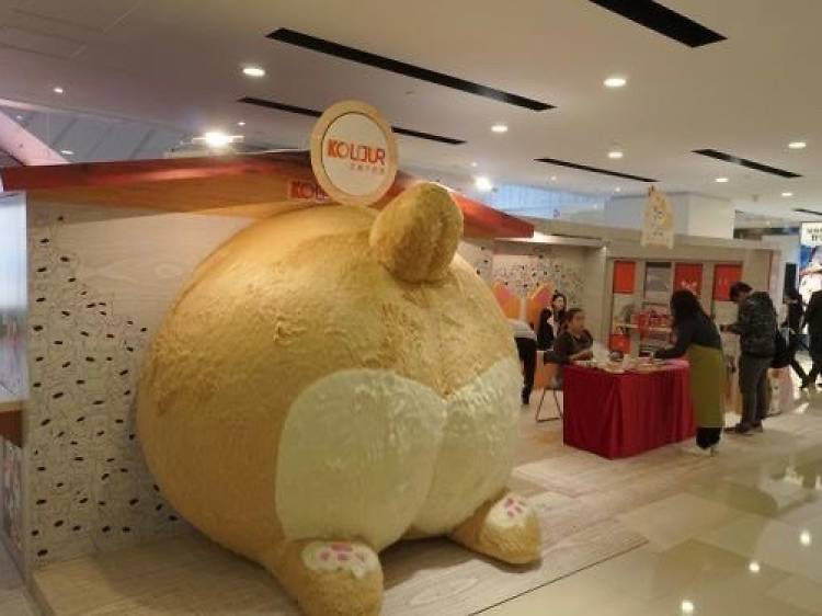 萌爆哥基夢新春︰千色匯