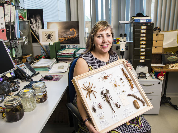 Meet the London museum curator who’s devoted her life to spiders