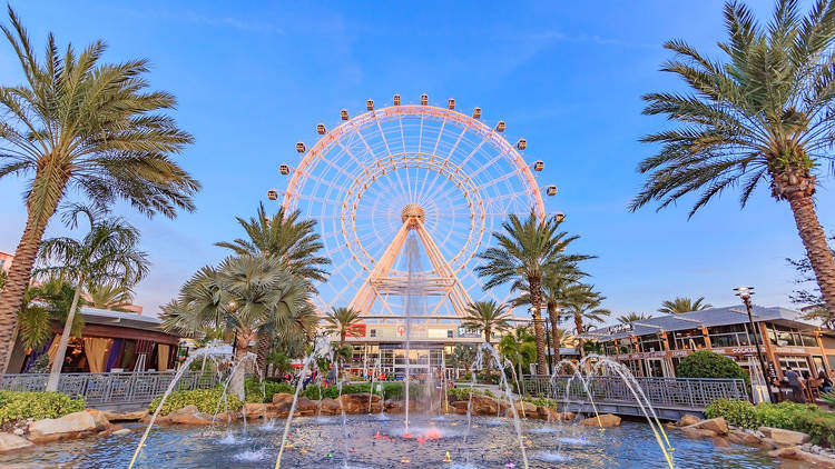 The Wheel at Icon Park