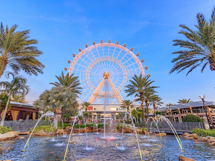 The Wheel at Icon Park