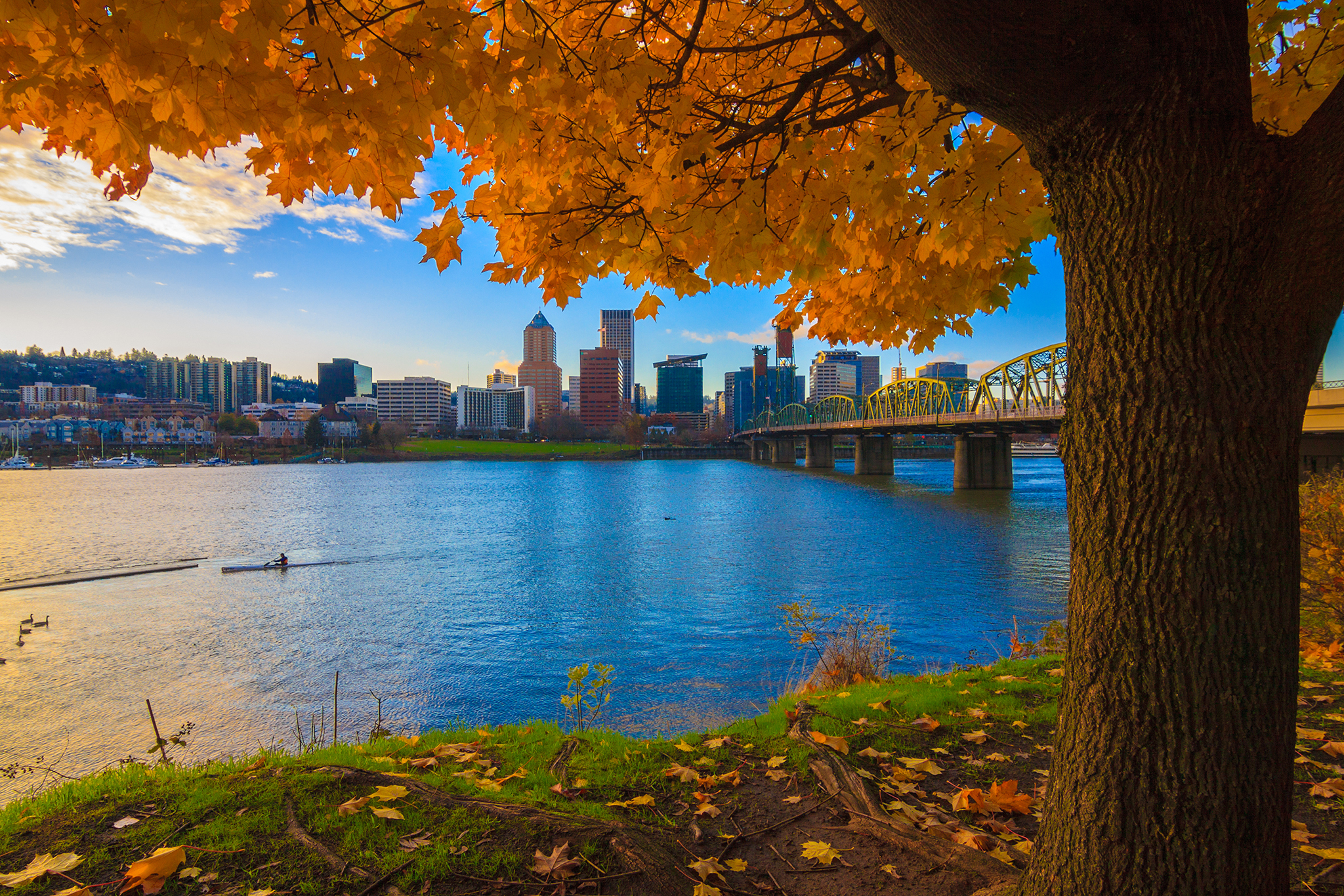 Portland, Oregon 2022 Ultimate Guide To Where To Go, Eat & Sleep in