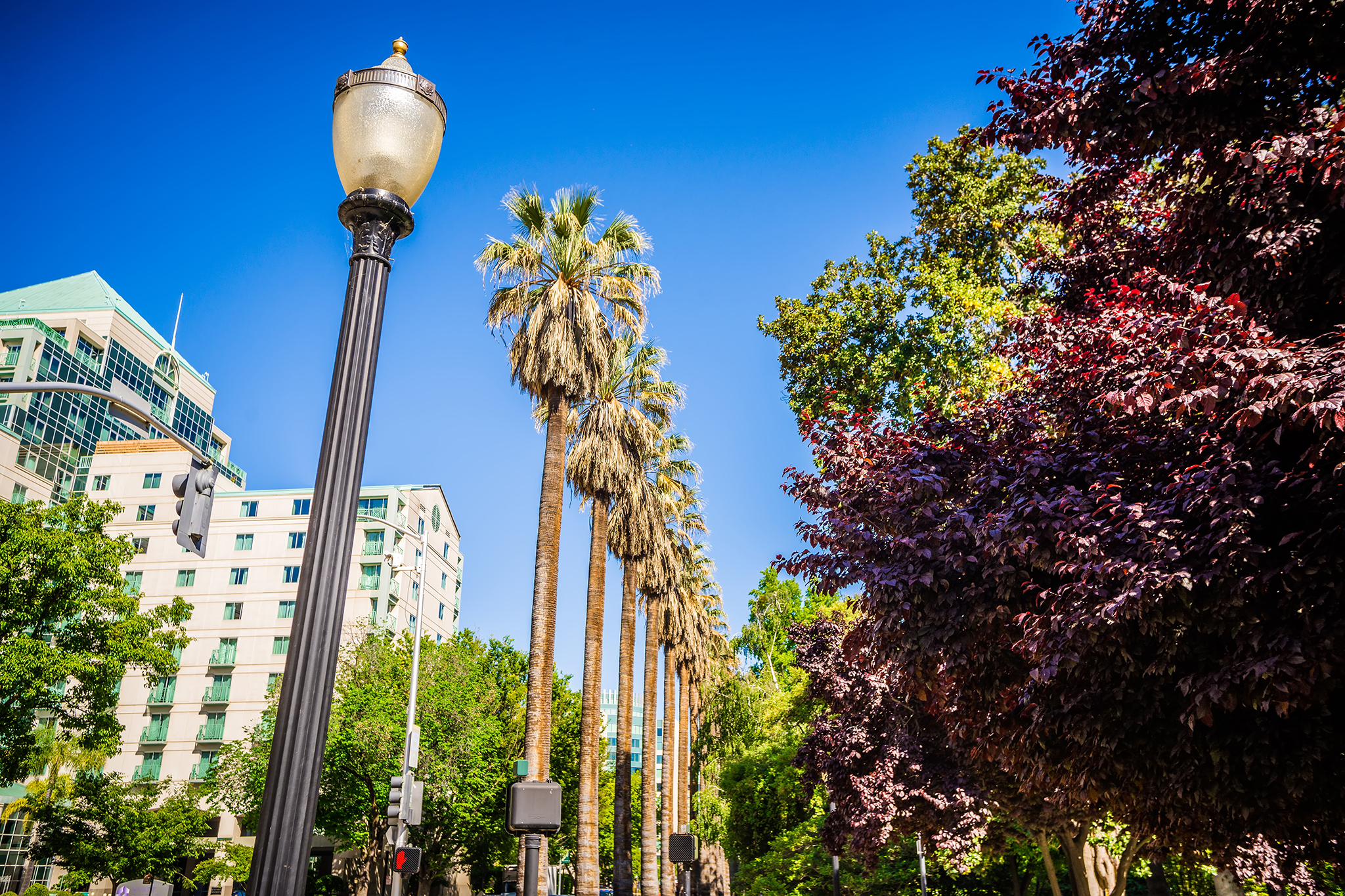 Sacramento, California 2024, Ultimate Guide To Where To Go, Eat & Sleep in  Sacramento