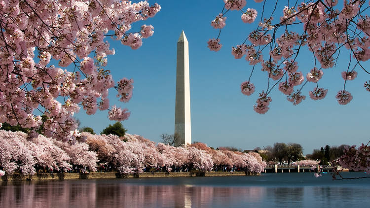 April: Washington DC
