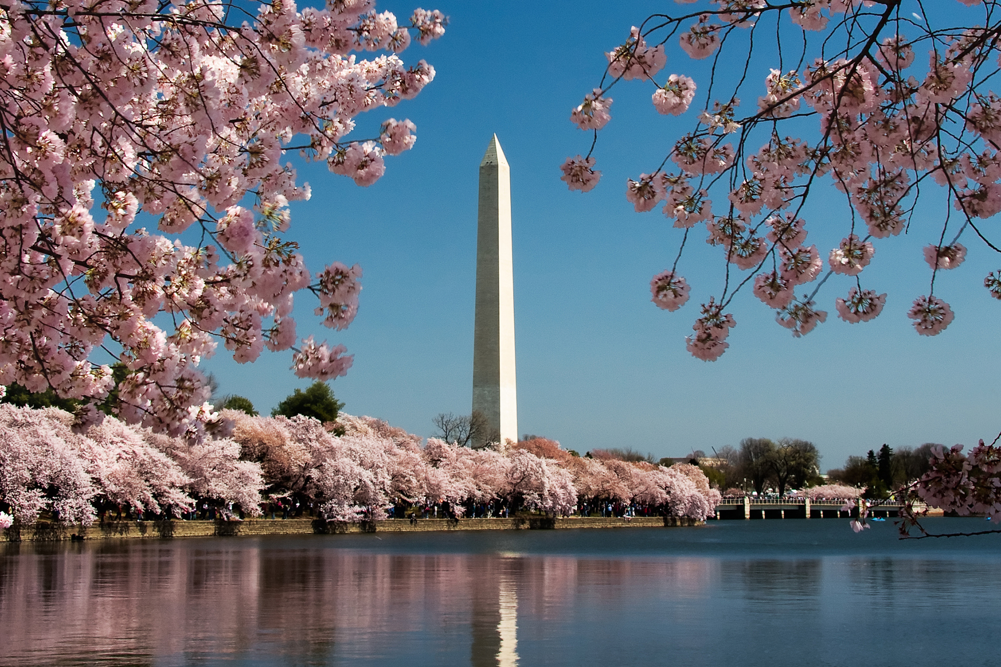 Time Out Washington DC DC Events, Attractions & Things To Do