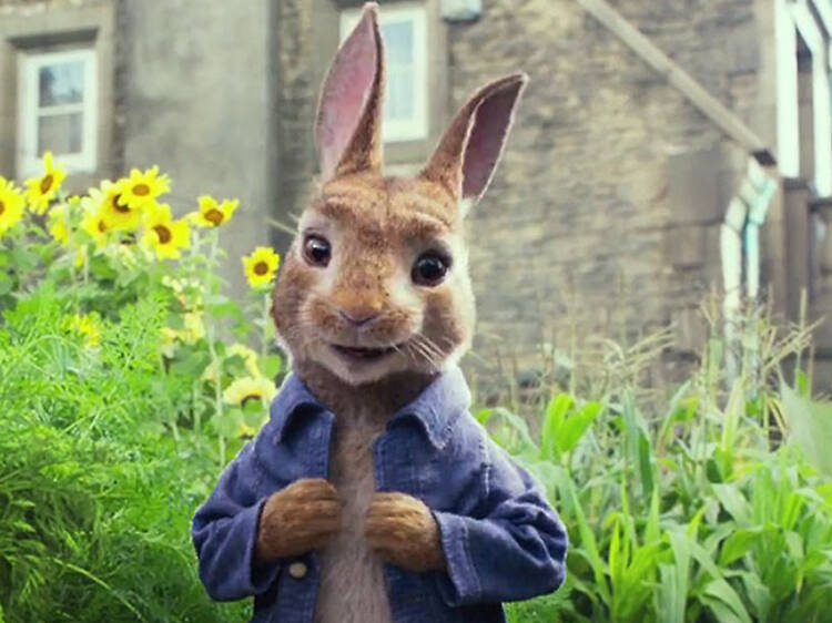 Peter Rabbit