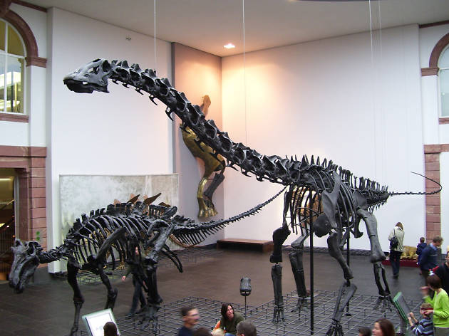 Naturmuseum Senckenberg Naturmuseum Senckenberg