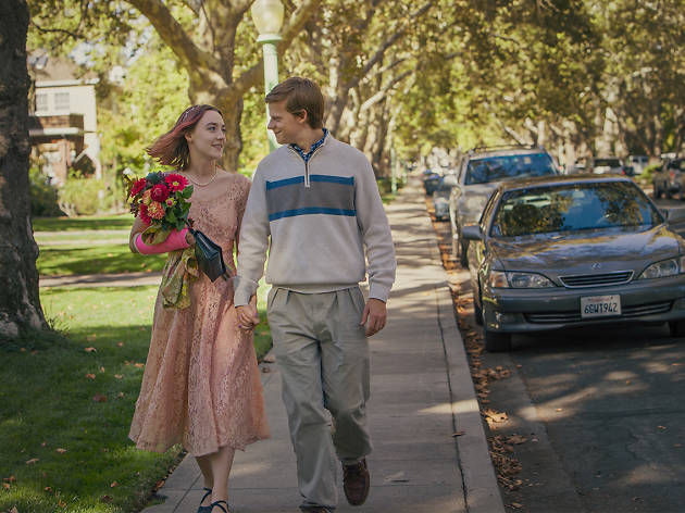 Lady Bird / Uğur Böceği Lady Bird / Uğur Böceği