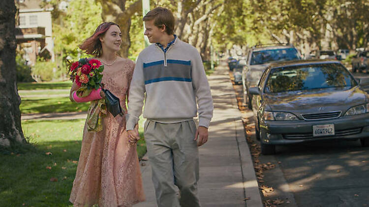 Lady Bird / Uğur Böceği