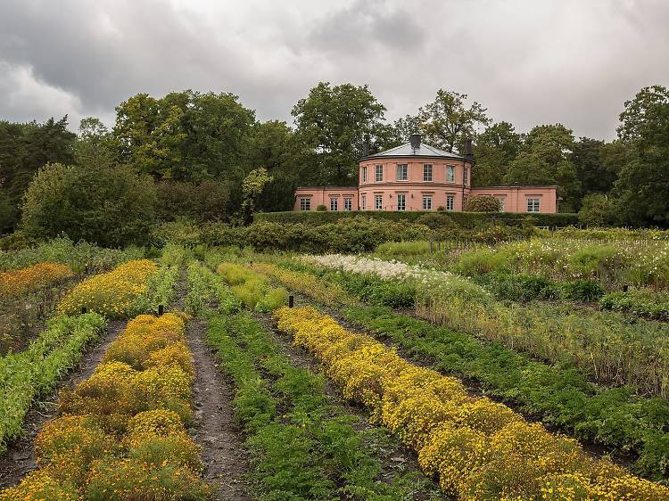 Djurgården Royal National City Park