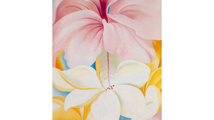 Georgia O’Keeffe Hibiscus with Plumeria, 1939