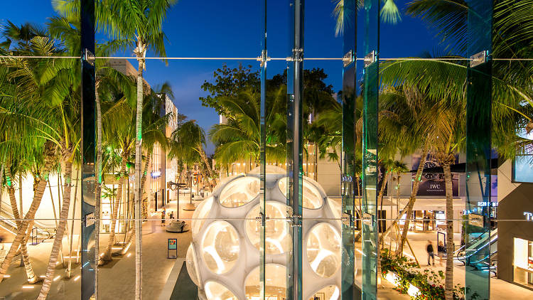 Palm Court Miami Design District 