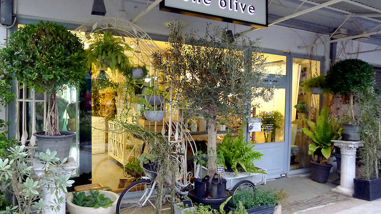 One Olive