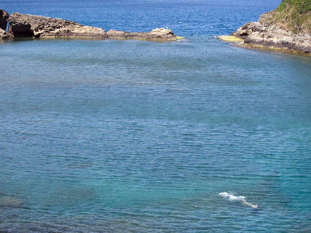 Visit the prettiest islet in the Azores Visit the prettiest islet in the Azores