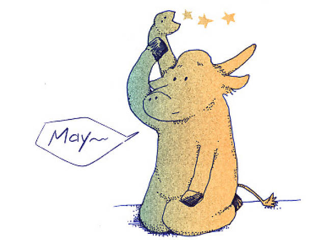 5月 5月