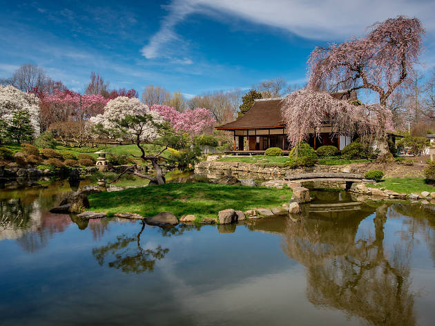 Shofuso Japanese House And Garden Attractions In West Parkside