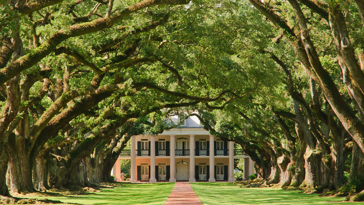 Go back in time on a plantation tour