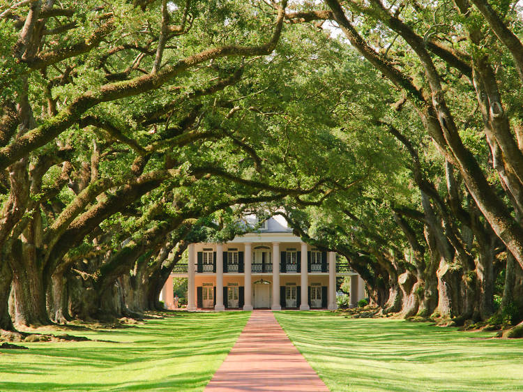 Go back in time on a plantation tour