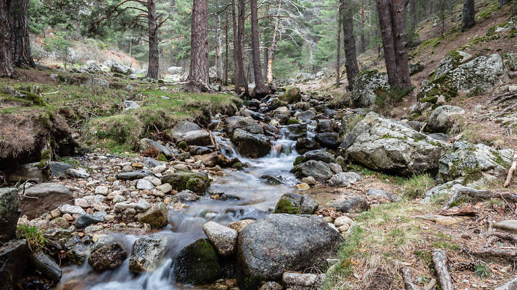 Escaparse a la naturaleza