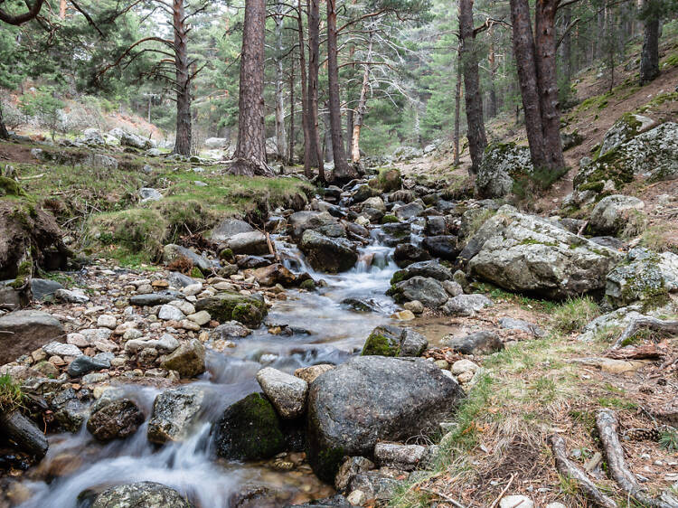 Escaparse a la naturaleza