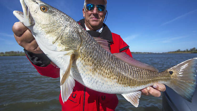 Take advantage of amenities at the Toledo Bend Reservoir