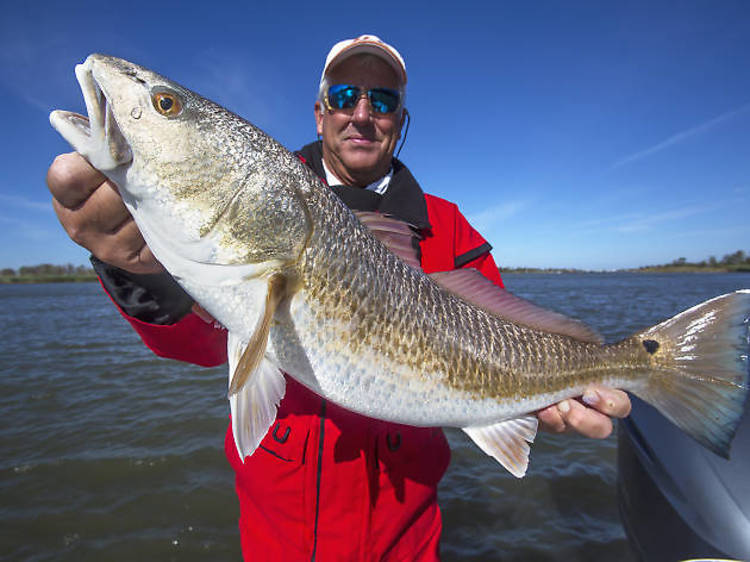 Take advantage of amenities at the Toledo Bend Reservoir