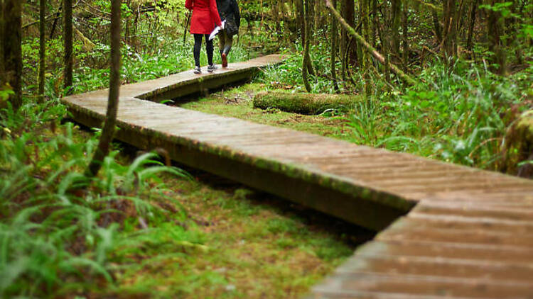 Escape the city on the Barataria Preserve Trails