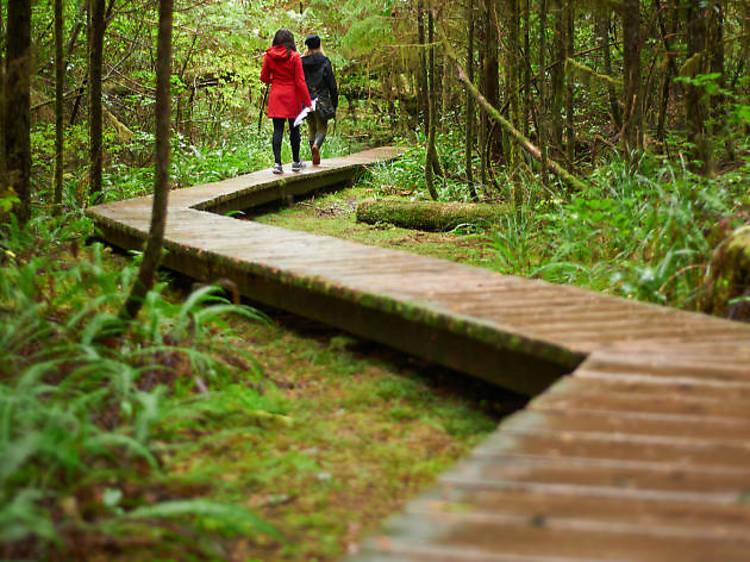 Escape the city on the Barataria Preserve Trails