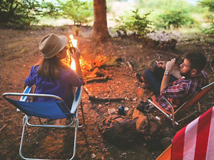 Camp under the stars