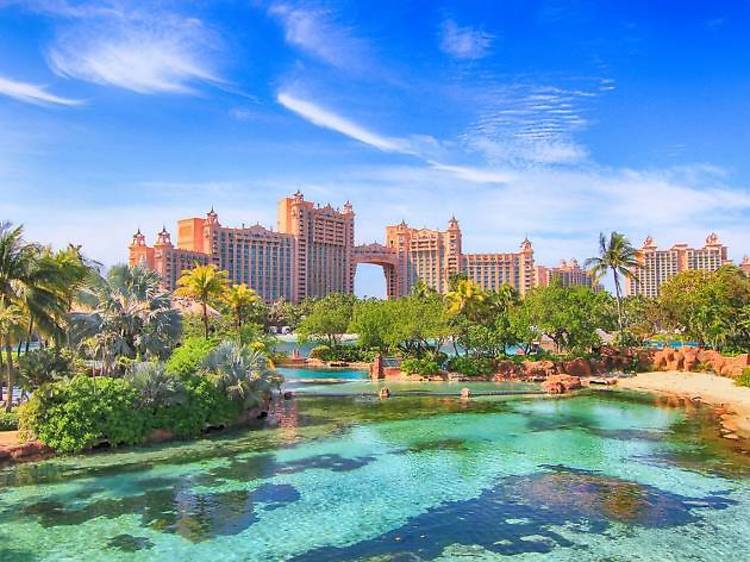 Atlantis Paradise Island (Nassau)